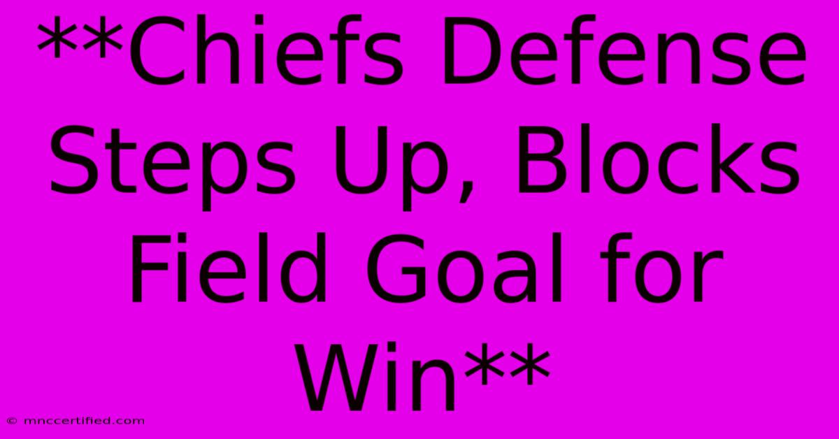 **Chiefs Defense Steps Up, Blocks Field Goal For Win** 