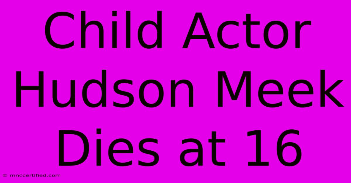 Child Actor Hudson Meek Dies At 16