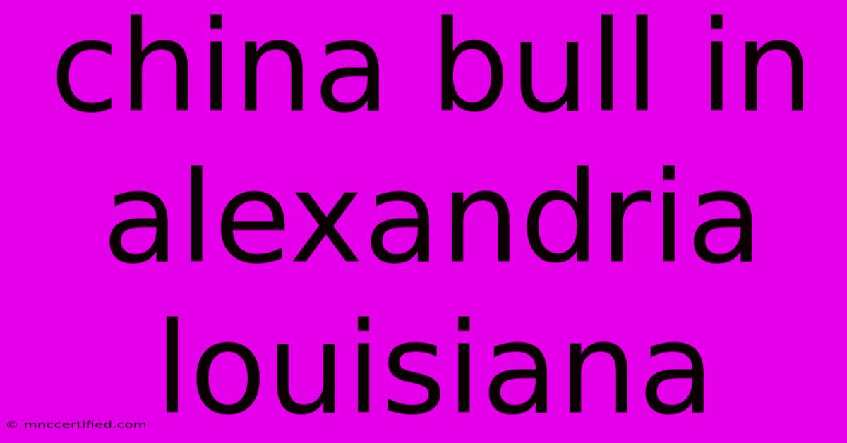 China Bull In Alexandria Louisiana