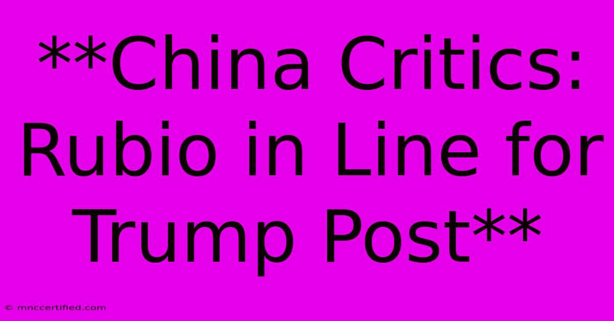 **China Critics: Rubio In Line For Trump Post**