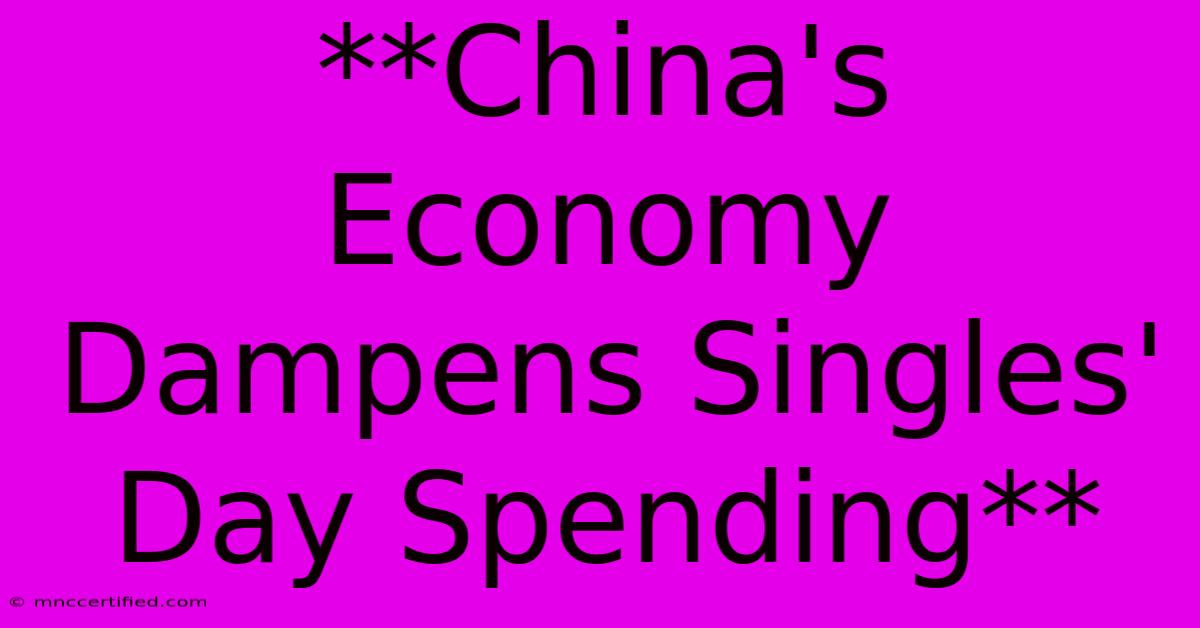 **China's Economy Dampens Singles' Day Spending**