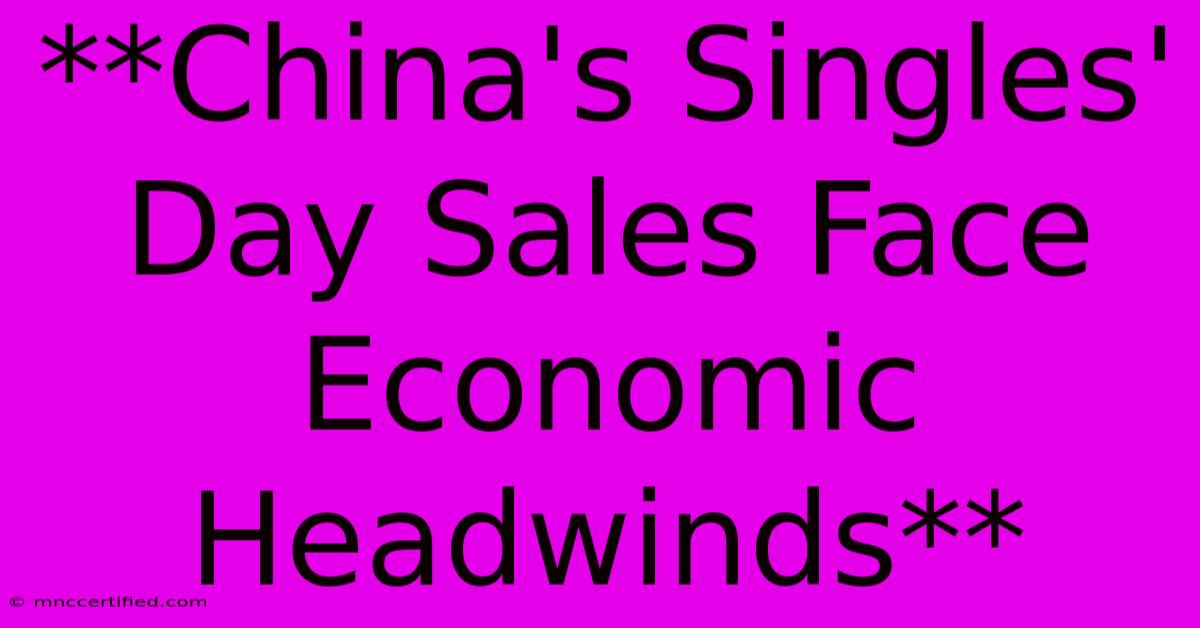 **China's Singles' Day Sales Face Economic Headwinds**