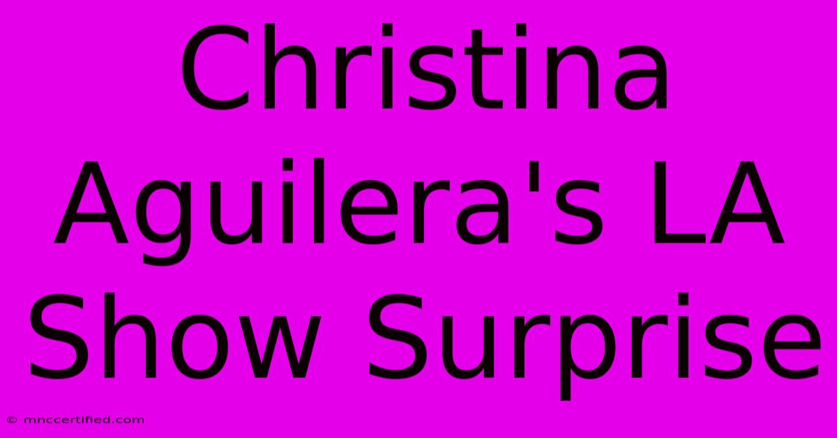 Christina Aguilera's LA Show Surprise