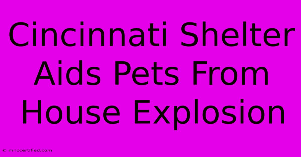 Cincinnati Shelter Aids Pets From House Explosion