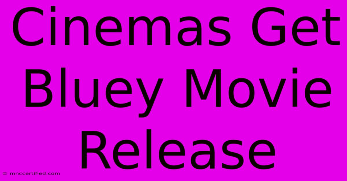 Cinemas Get Bluey Movie Release