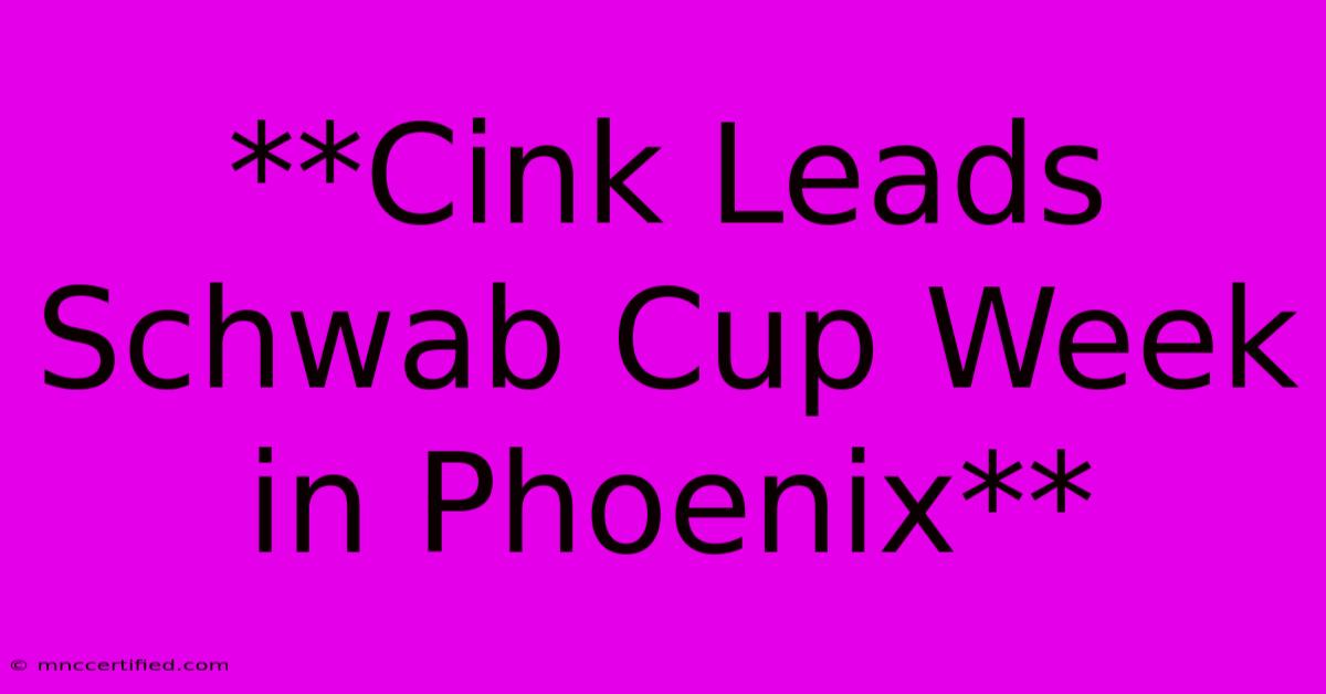 **Cink Leads Schwab Cup Week In Phoenix**