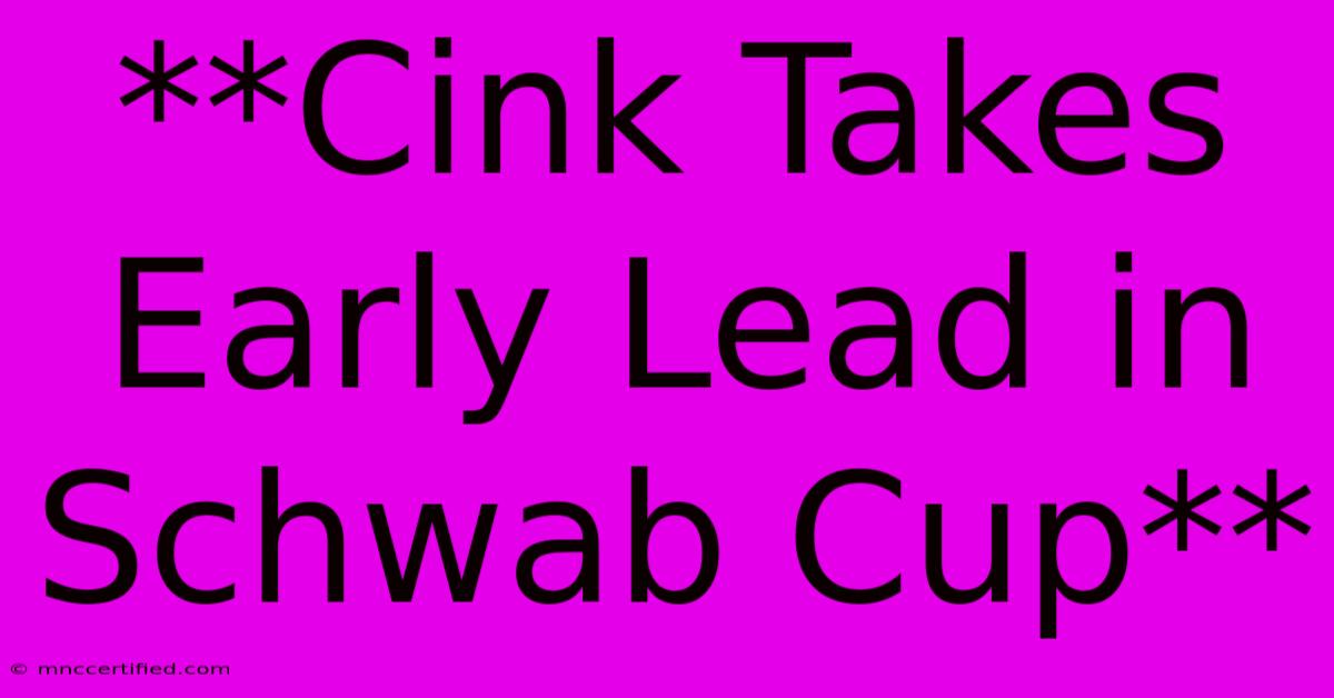 **Cink Takes Early Lead In Schwab Cup**