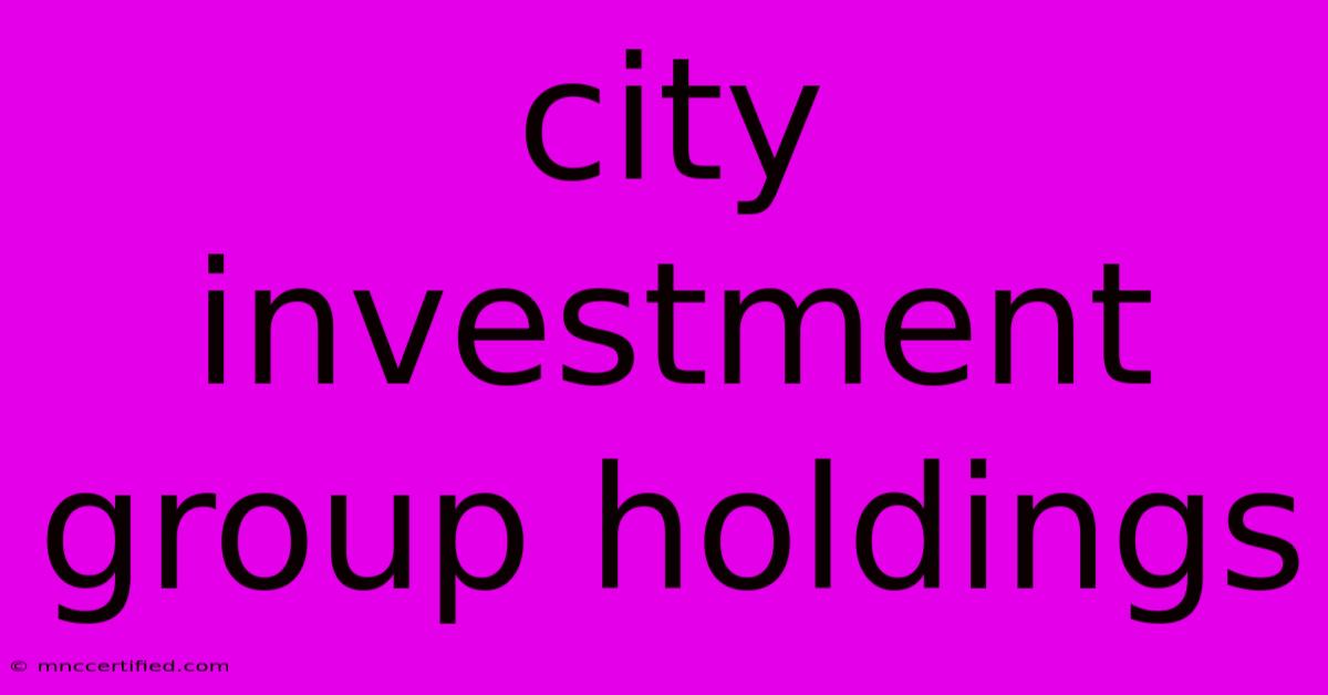 City Investment Group Holdings