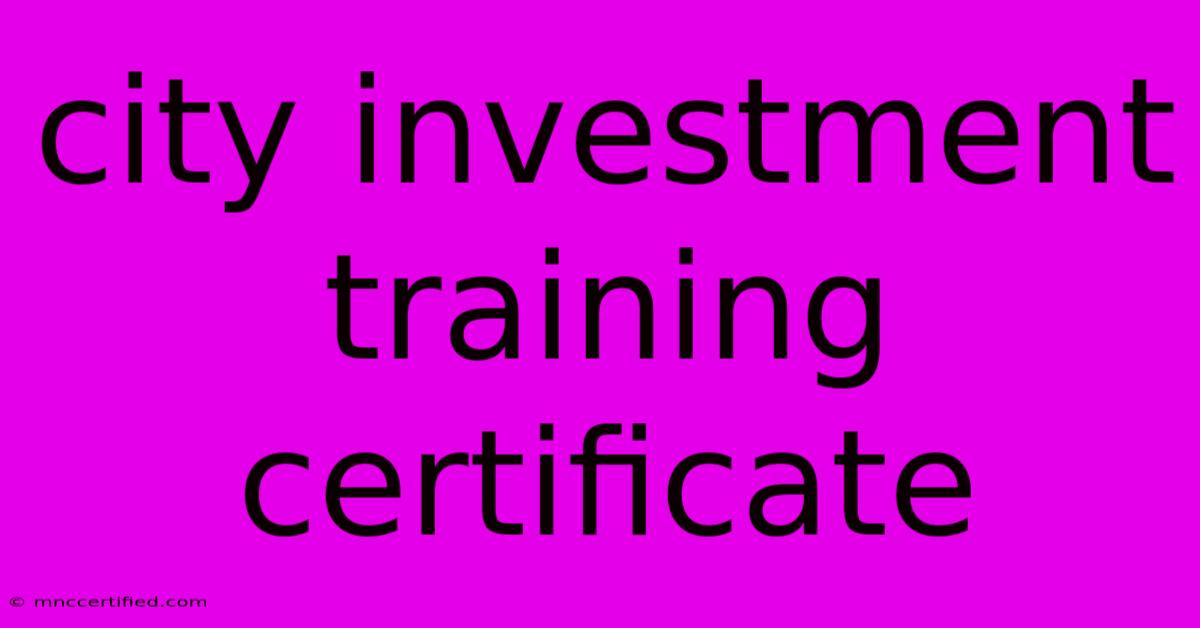 City Investment Training Certificate