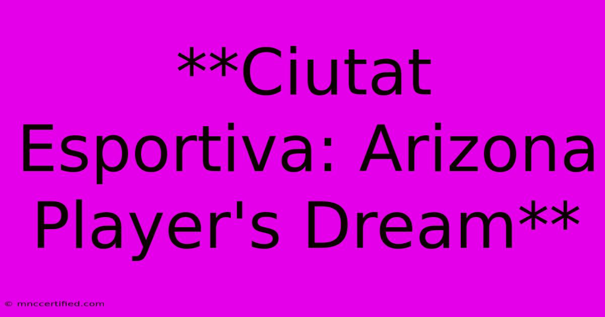 **Ciutat Esportiva: Arizona Player's Dream** 