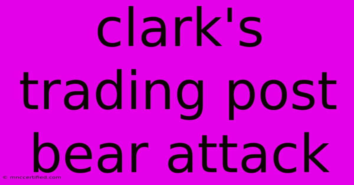 Clark's Trading Post Bear Attack