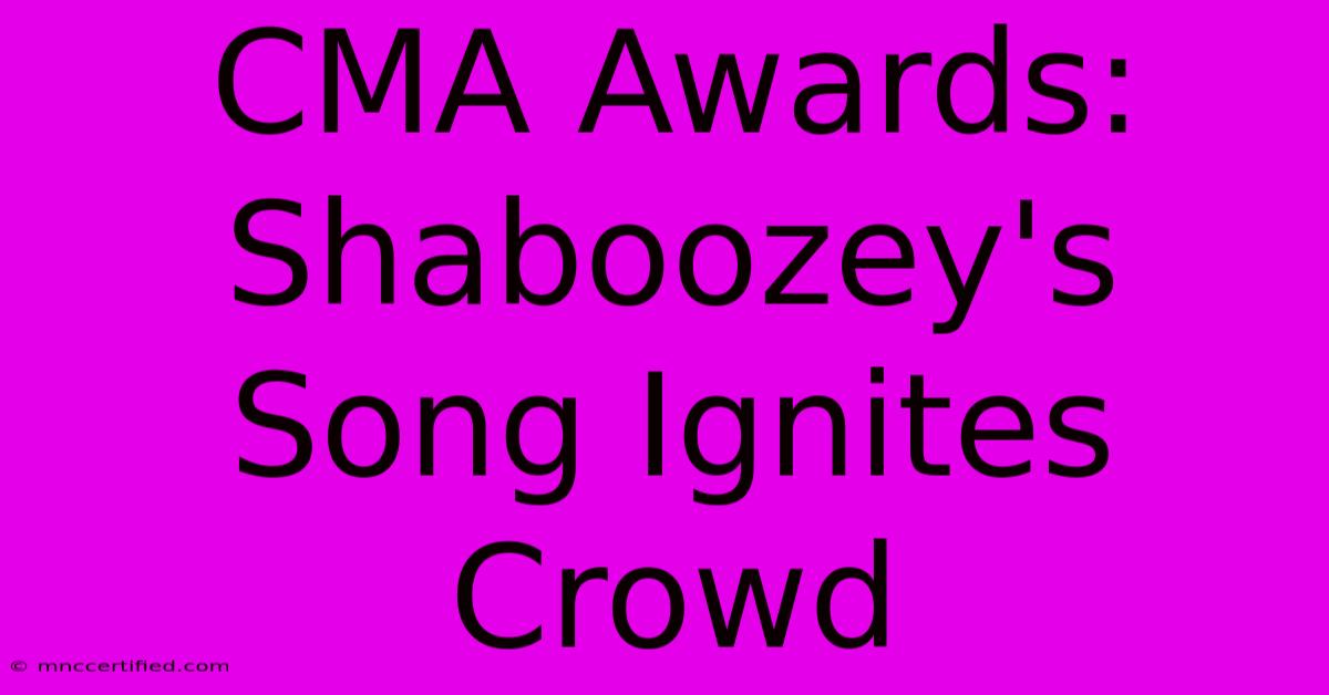 CMA Awards: Shaboozey's Song Ignites Crowd