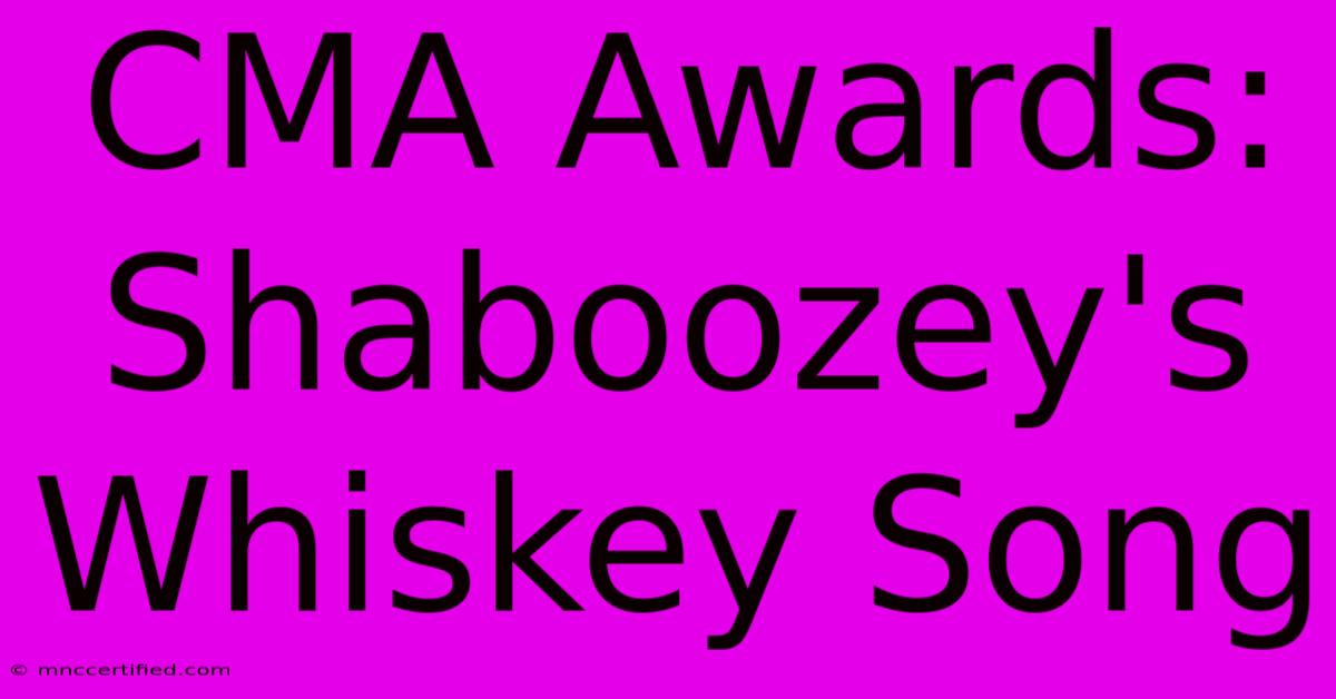 CMA Awards: Shaboozey's Whiskey Song