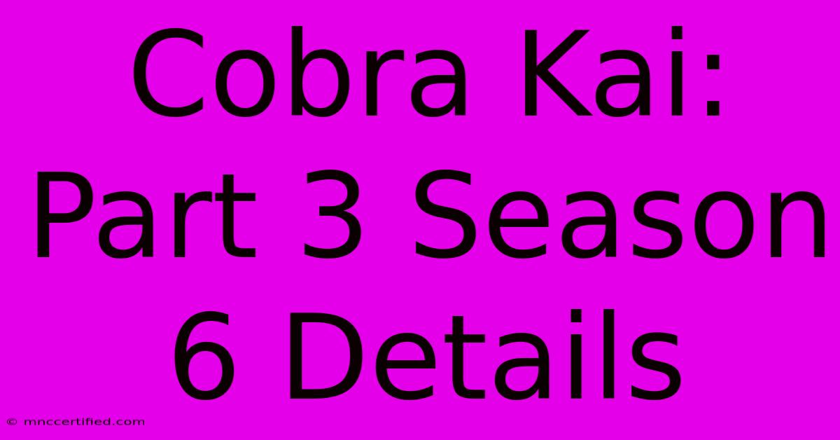 Cobra Kai: Part 3 Season 6 Details