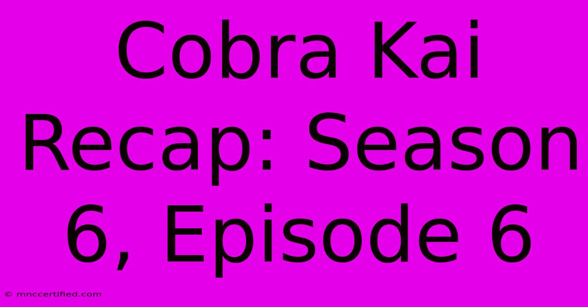 Cobra Kai Recap: Season 6, Episode 6