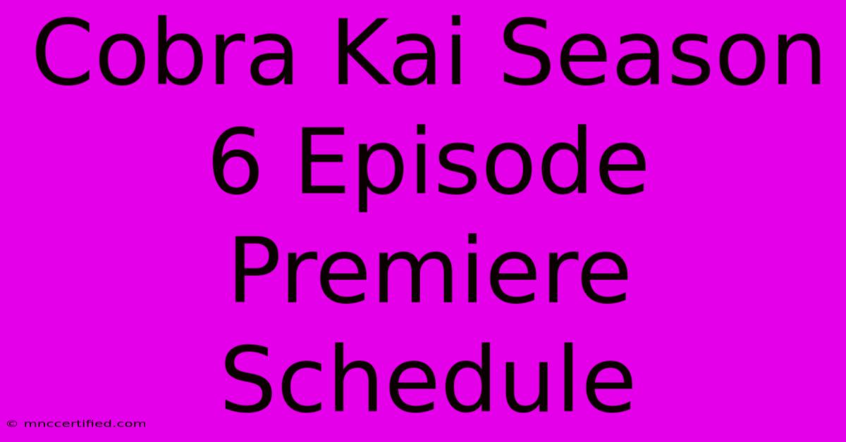 Cobra Kai Season 6 Episode Premiere Schedule