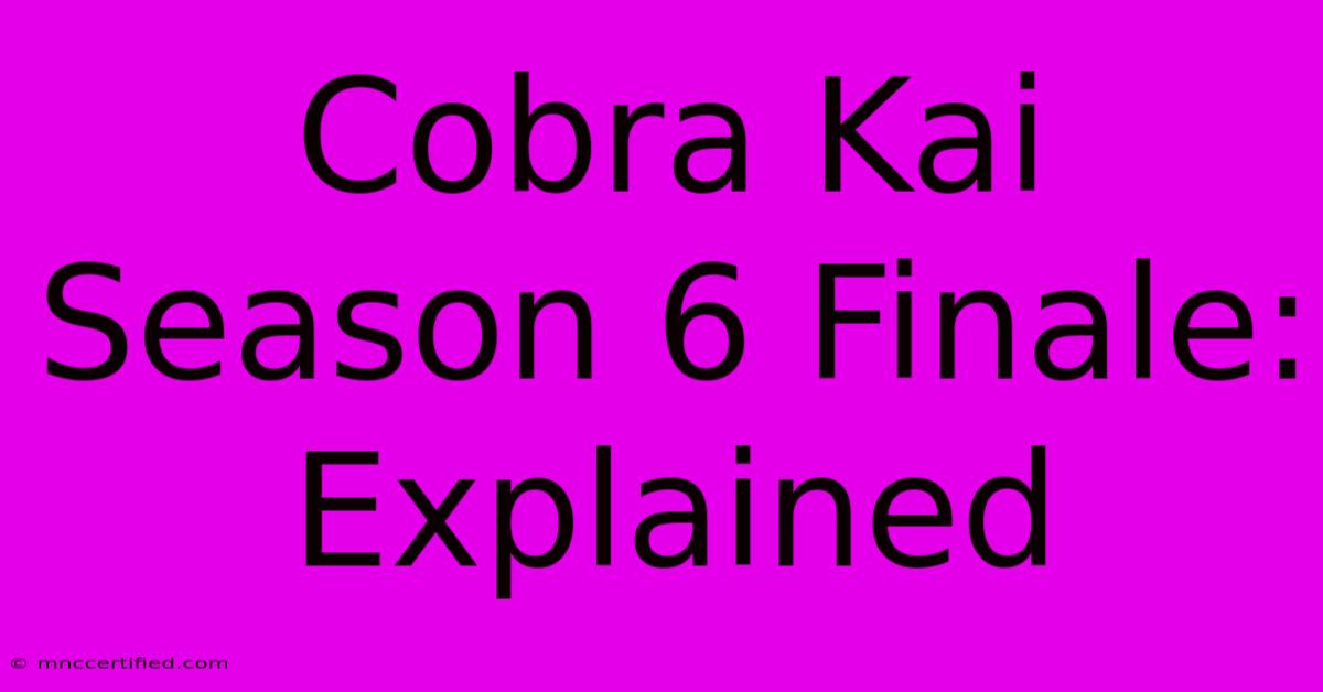 Cobra Kai Season 6 Finale: Explained