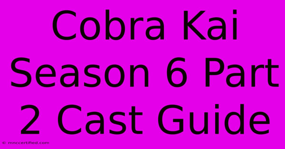 Cobra Kai Season 6 Part 2 Cast Guide