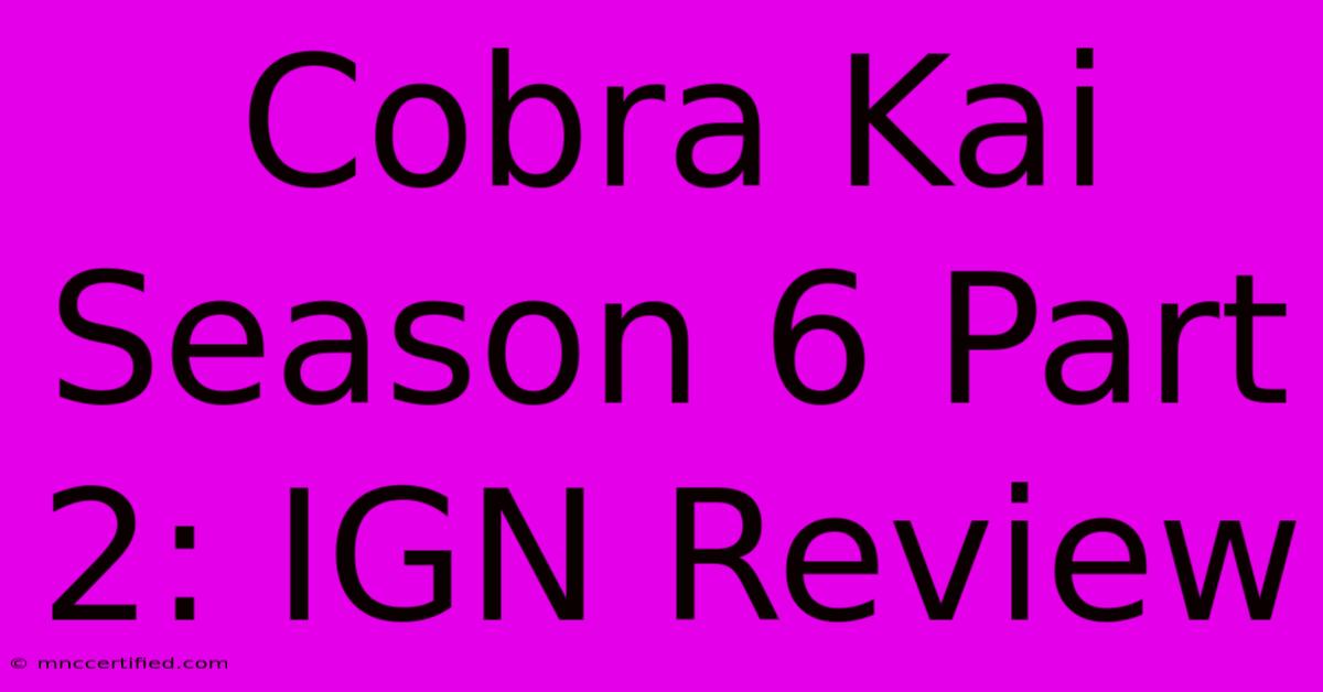 Cobra Kai Season 6 Part 2: IGN Review