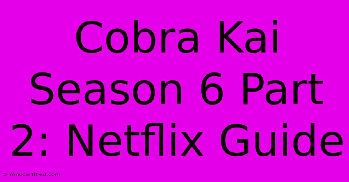 Cobra Kai Season 6 Part 2: Netflix Guide