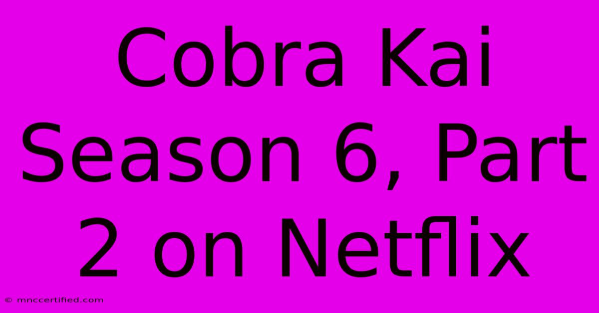 Cobra Kai Season 6, Part 2 On Netflix