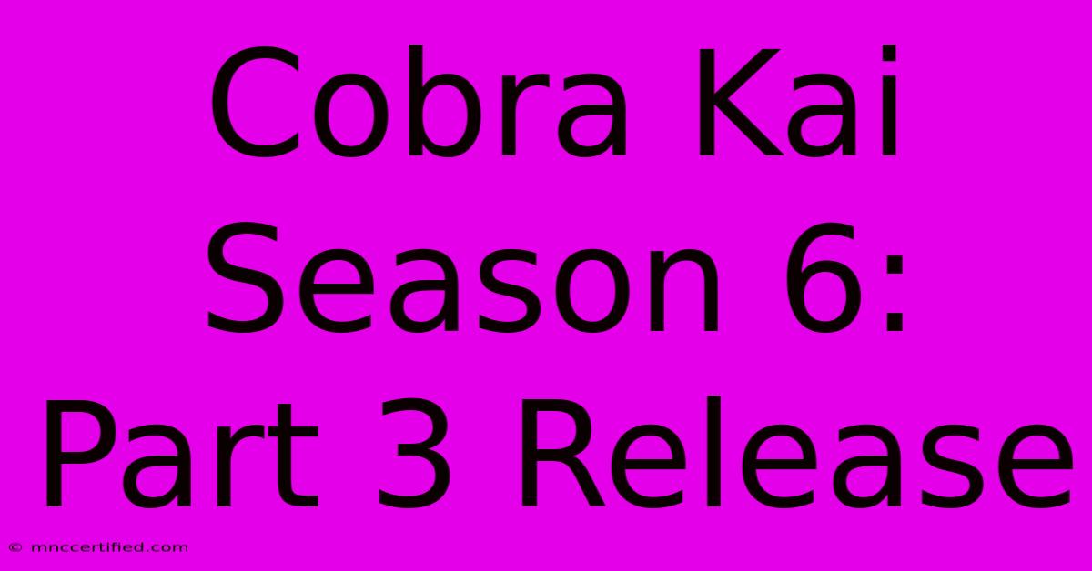 Cobra Kai Season 6: Part 3 Release