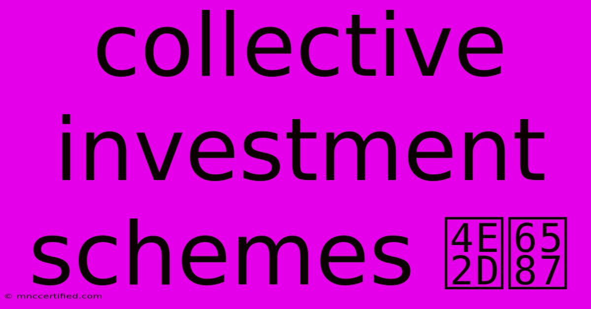 Collective Investment Schemes 中文