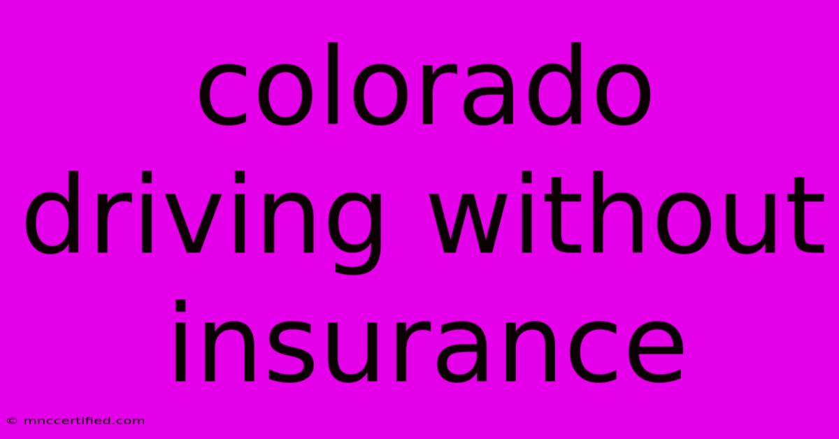 Colorado Driving Without Insurance