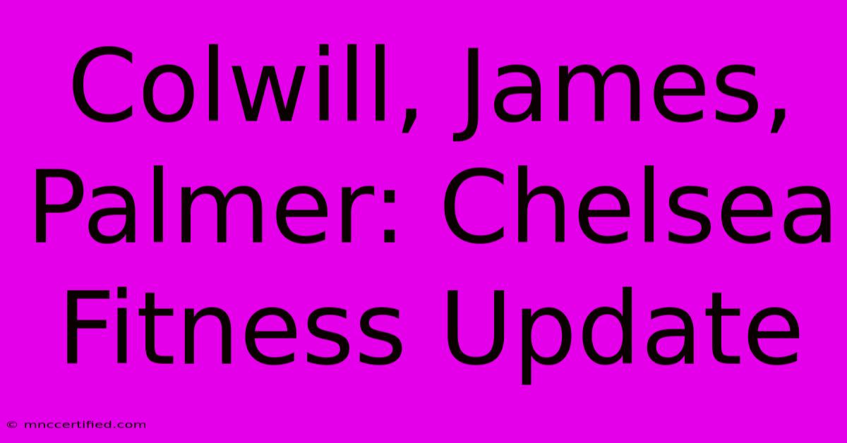 Colwill, James, Palmer: Chelsea Fitness Update