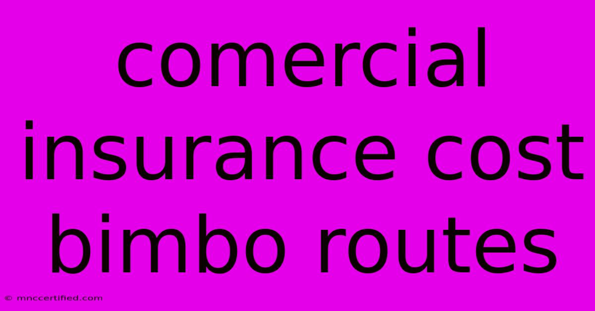 Comercial Insurance Cost Bimbo Routes