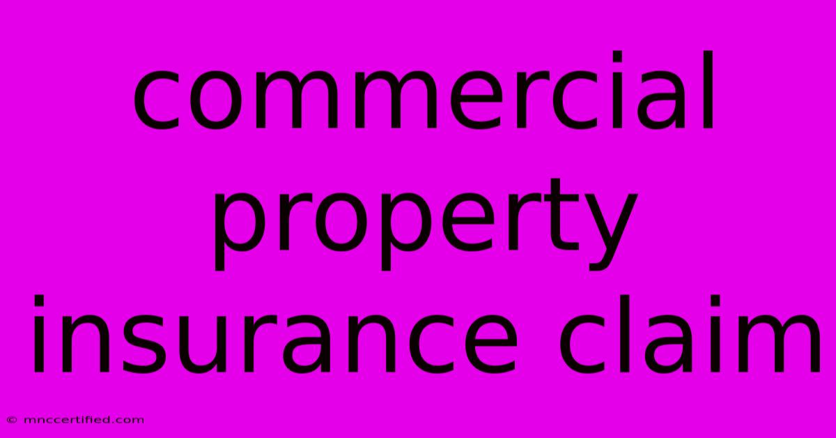 Commercial Property Insurance Claim