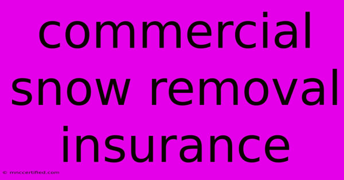 Commercial Snow Removal Insurance