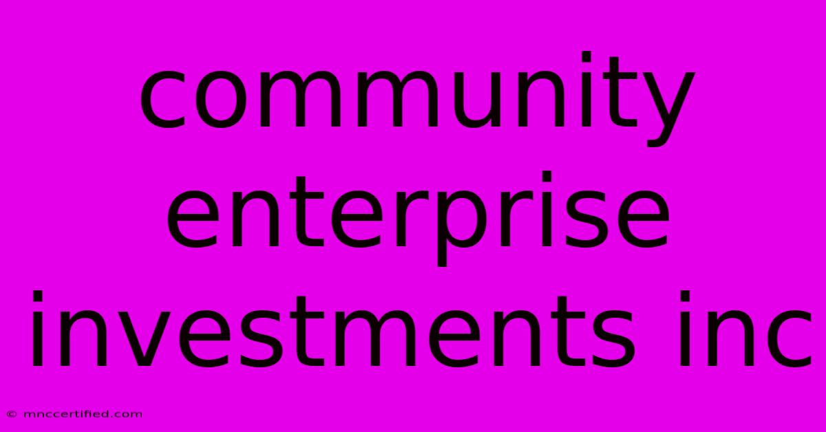 Community Enterprise Investments Inc