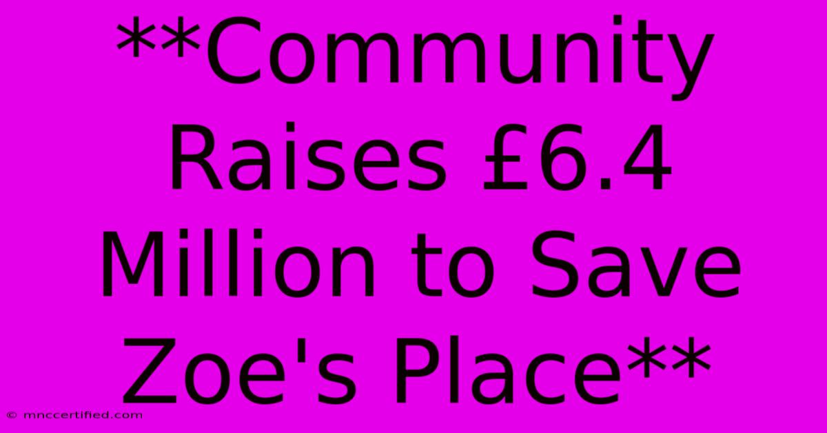 **Community Raises £6.4 Million To Save Zoe's Place**