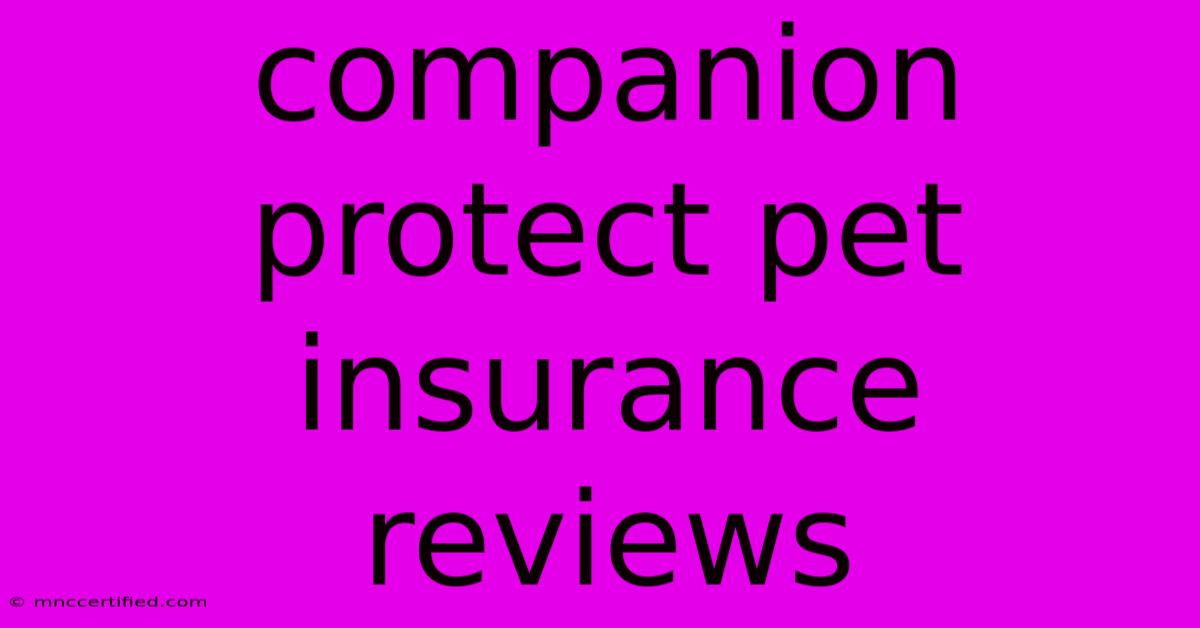 Companion Protect Pet Insurance Reviews