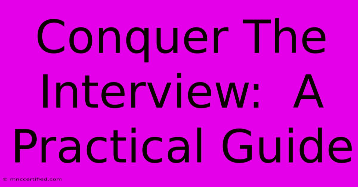 Conquer The Interview:  A Practical Guide