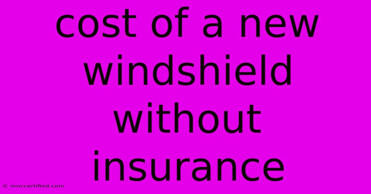 Cost Of A New Windshield Without Insurance