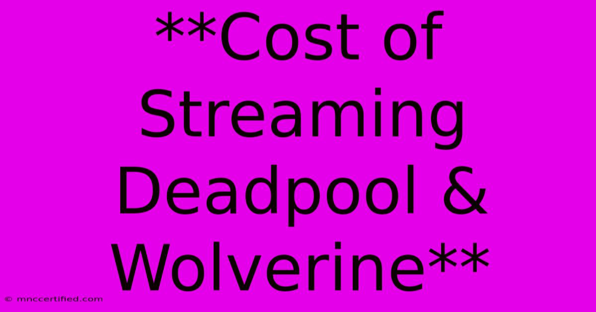 **Cost Of Streaming Deadpool & Wolverine** 