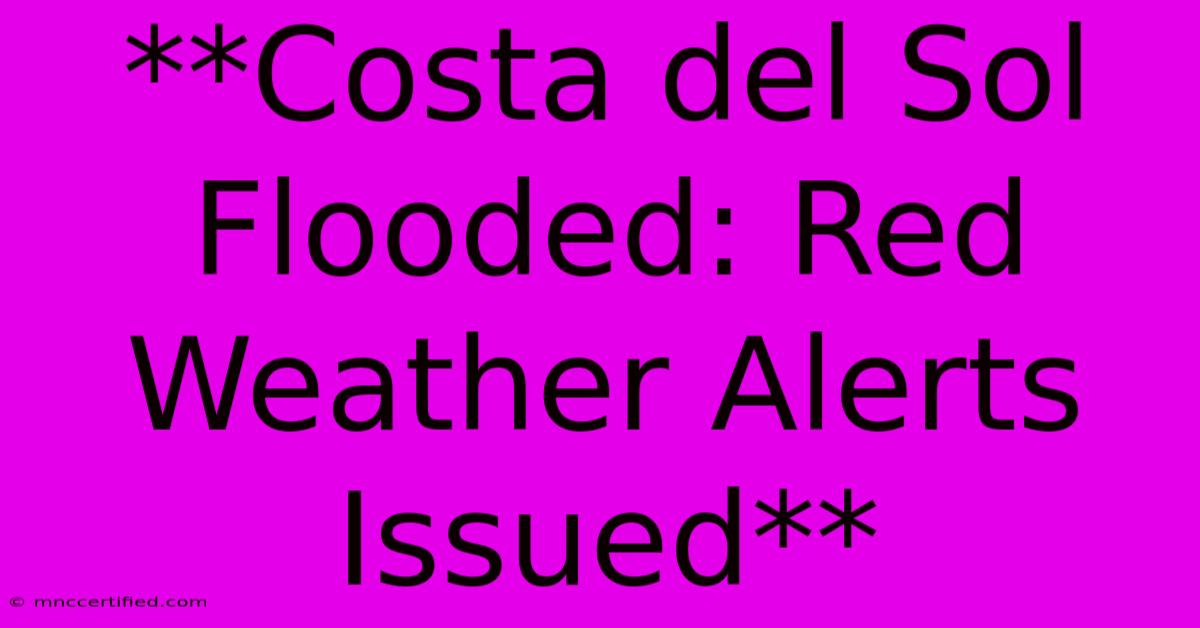 **Costa Del Sol Flooded: Red Weather Alerts Issued** 