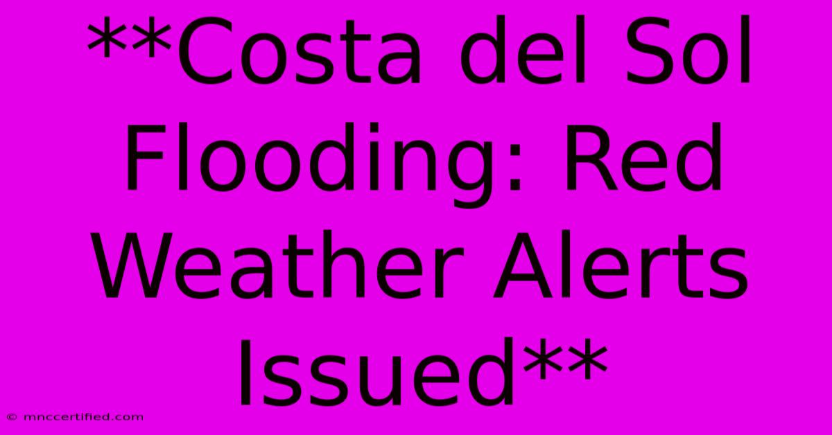 **Costa Del Sol Flooding: Red Weather Alerts Issued**