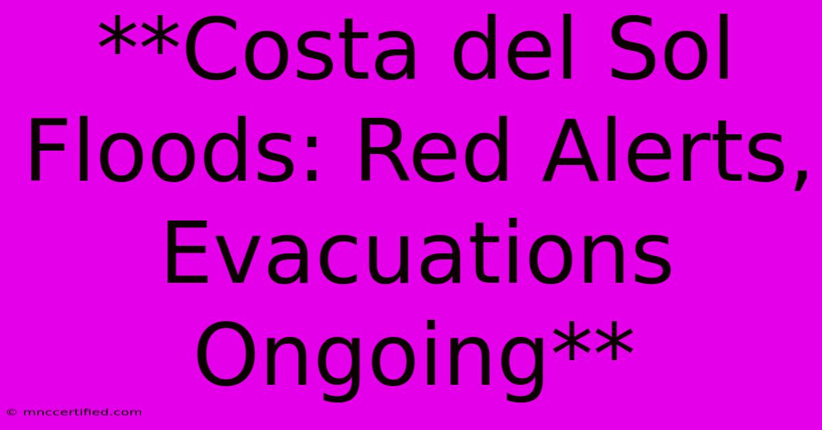 **Costa Del Sol Floods: Red Alerts, Evacuations Ongoing** 