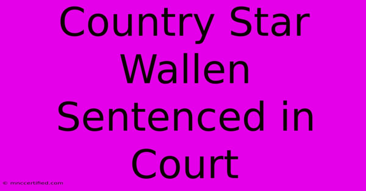 Country Star Wallen Sentenced In Court