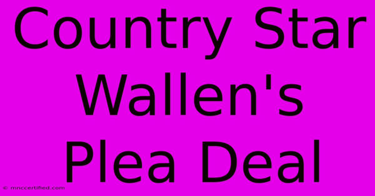 Country Star Wallen's Plea Deal