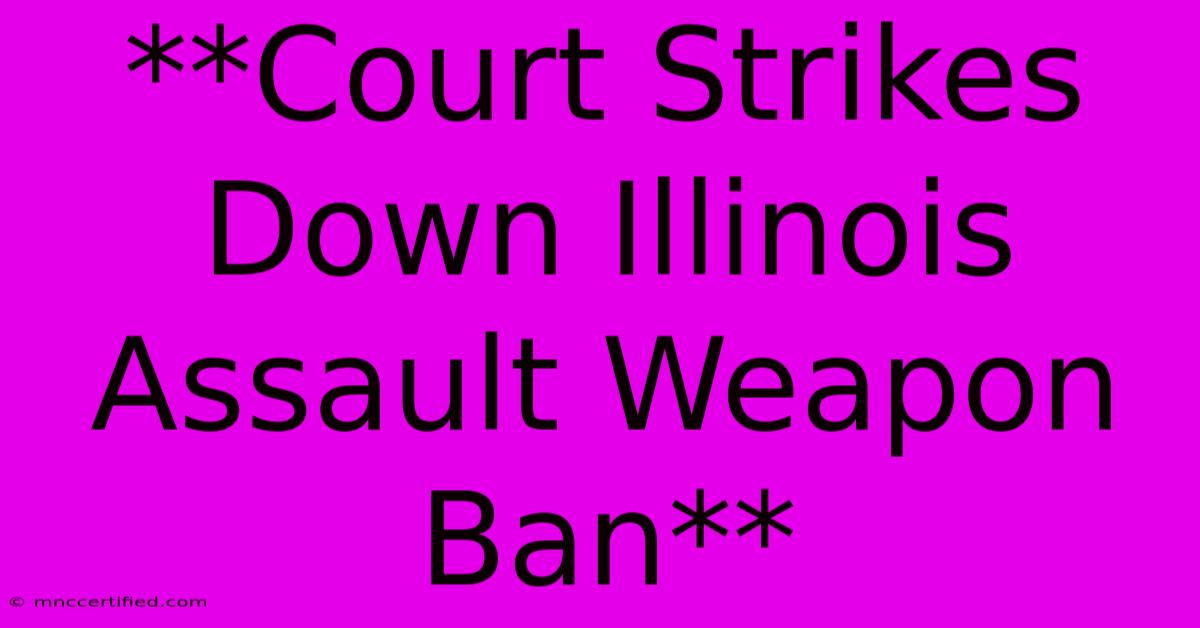 **Court Strikes Down Illinois Assault Weapon Ban**