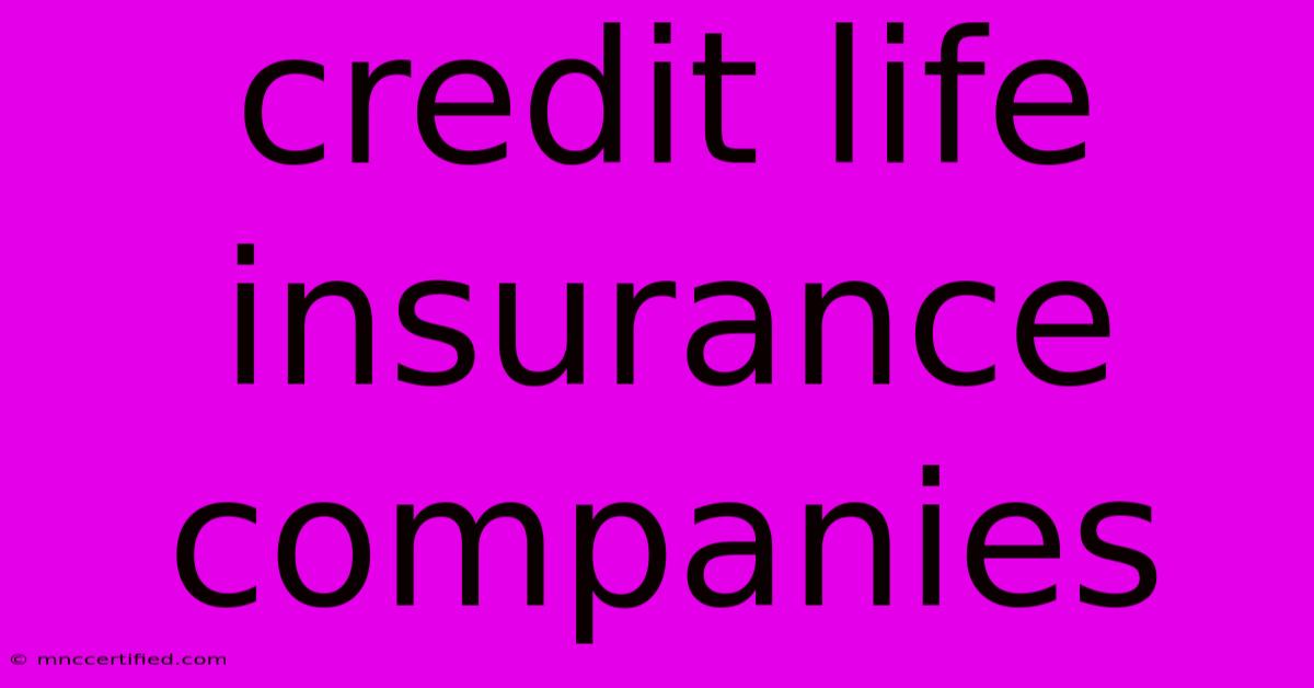 Credit Life Insurance Companies