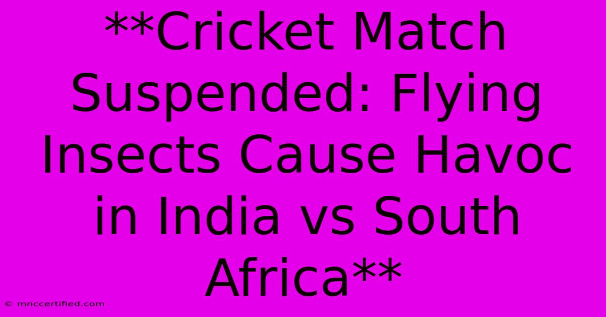 **Cricket Match Suspended: Flying Insects Cause Havoc In India Vs South Africa**