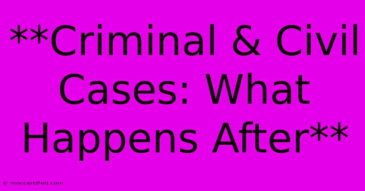 **Criminal & Civil Cases: What Happens After**