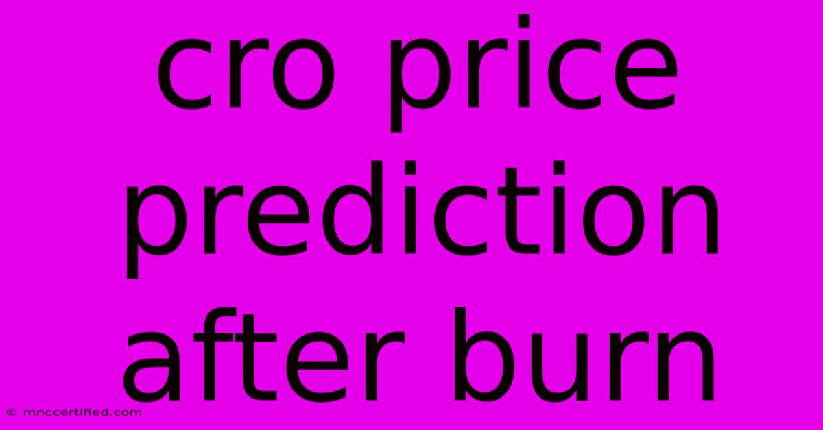 Cro Price Prediction After Burn