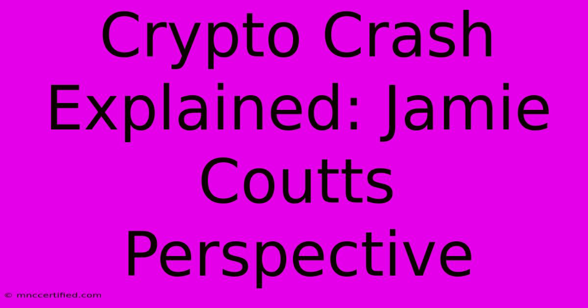 Crypto Crash Explained: Jamie Coutts Perspective