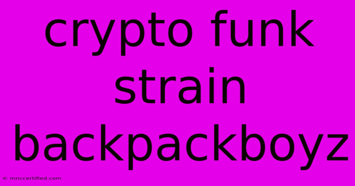 Crypto Funk Strain Backpackboyz